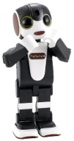 07footer_RoBoHoN
